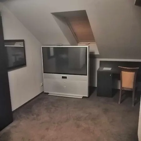 Отель Wiktoria 3*